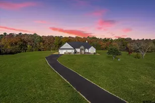 503 Pr 52321, Pittsburg, TX 75686 - Photo 30