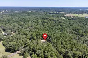 14951 Cr 2205, Tyler, TX 75707 - Photo 26