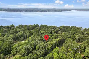 220 Dale, Avinger, TX 75630 - Photo 30