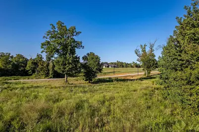 16534 Ridgeline Loop Lot 108, Winona, TX 75792 - Photo 14