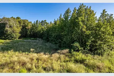 16534 Ridgeline Loop Lot 108, Winona, TX 75792 - Photo 12