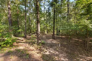 462 Co Rd 3911, Jacksonville, TX 75766 - Photo 32