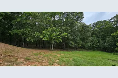 6338 Fm852, Winnsboro, TX 75494 - Photo 24