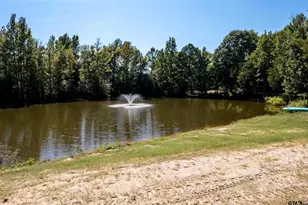 150 Cr 2337, Mineola, TX 75773 - Photo 46