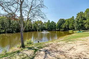 150 Cr 2337, Mineola, TX 75773 - Photo 48