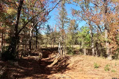 16619 Ridgeline Loop, Winona, TX 75792 - Photo 4