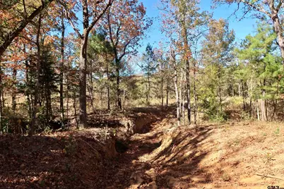 16619 Ridgeline Loop, Winona, TX 75792 - Photo 6