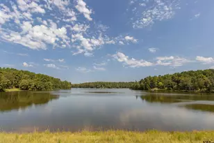 782 An County Rd 325, Frankston, TX 75763 - Photo 36