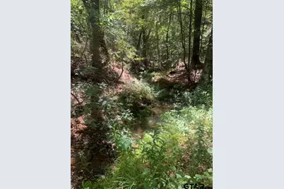 Tbd Cr 479 (Tract 2), Lindale, TX 75771 - Photo 4