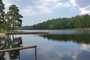 1476 W Holly Trail, Holly Lake Ranch, TX 75765 - Photo 18