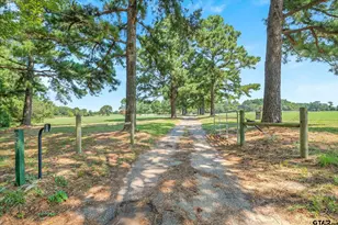 893 Vz County Road 4203, Canton, TX 75103 - Photo 10