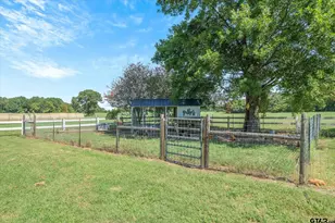 893 Vz County Road 4203, Canton, TX 75103 - Photo 38