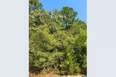 205 Highway 155, Avinger, TX 75630 - Photo 28