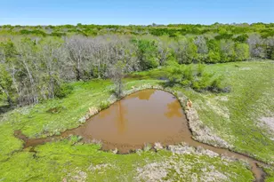 902 Vz County Rd 3710, Edgewood, TX 75117 - Photo 10