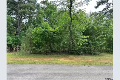 16837 Pine Hollow, Flint, TX 75762 - Photo 2