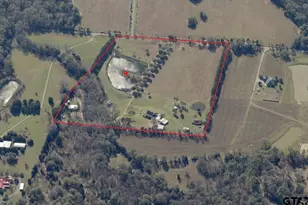 750 Vz County Road 4703, Ben Wheeler, TX 75754 - Photo 44