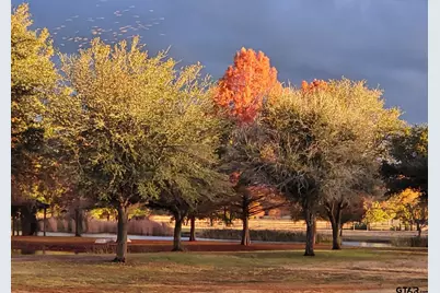 750 Vz County Road 4703, Ben Wheeler, TX 75754 - Photo 42