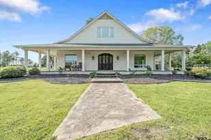 750 Vz County Road 4703, Ben Wheeler, TX 75754 - Photo 4