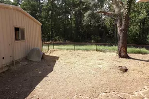 2977 Co Rd 1545, Crockett, TX 75835 - Photo 26