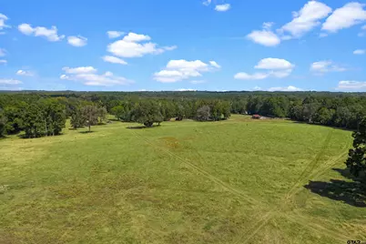 3360 Fm 1249, Kilgore, TX 75662 - Photo 10