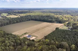 843 Private Road 3168, Gilmer, TX 75645 - Photo 2