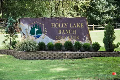 320 Greenbriar Trail, Holly Lake Ranch, TX 75765 - Photo 48