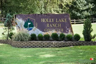 320 Greenbriar Trail, Holly Lake Ranch, TX 75765 - Photo 48