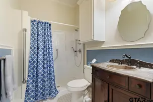 217 S Vine Ave, Tyler, TX 75702 - Photo 24