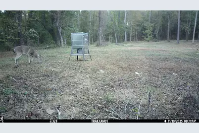 000 Cr 354, Winona, TX 75792 - Photo 10