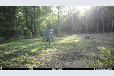 000 Cr 354, Winona, TX 75792 - Photo 20