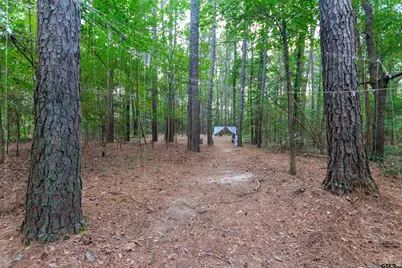153 Cr 319 W, Tyler, TX 75706 - Photo 28