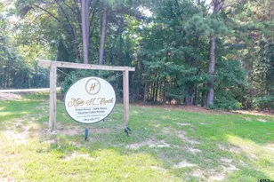 153 Cr 319 W, Tyler, TX 75706 - Photo 24