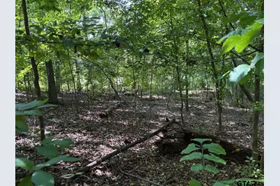Lot 5 Paradise Lane, Flint, TX 75762 - Photo 2