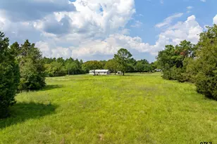 3679 FM 858, Ben Wheeler, TX 75754 - Photo 24