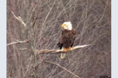21893 Boles Road, Frankston, TX 75763 - Photo 28