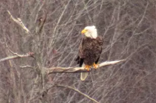 21893 Boles Rd, Frankston, TX 75763 - Photo 28