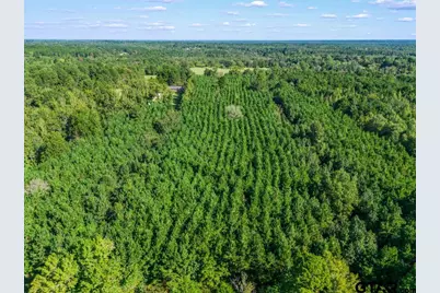 Tbd Cat Road, Gilmer, TX 75644 - Photo 8