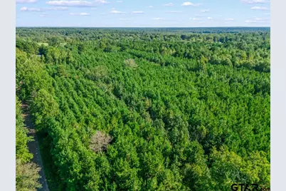 Tbd Cat Road, Gilmer, TX 75644 - Photo 4