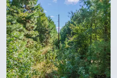 Tbd Cat Road, Gilmer, TX 75644 - Photo 20