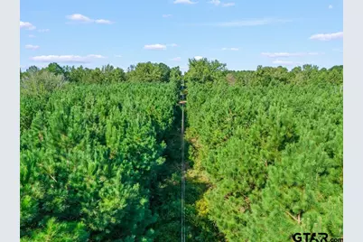 Tbd Cat Road, Gilmer, TX 75644 - Photo 10