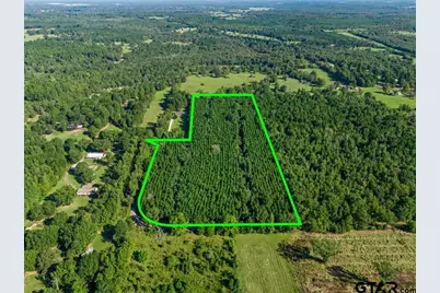 Tbd Cat Road, Gilmer, TX 75644 - Photo 1