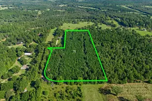 Tbd Cat Rd, Gilmer, TX 75644 - Photo 1