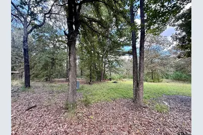 192 Pr 7533, Hawkins, TX 75765 - Photo 4