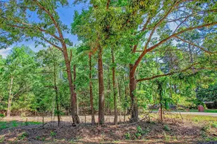 18278 Merigale Dr, Troup, TX 75789 - Photo 44