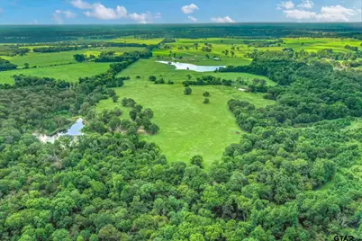 100+/- Acres Fm 773, Grand Saline, TX 75140 - Photo 6