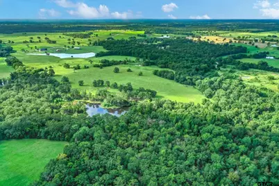 100+/- Acres Fm 773, Grand Saline, TX 75140 - Photo 16
