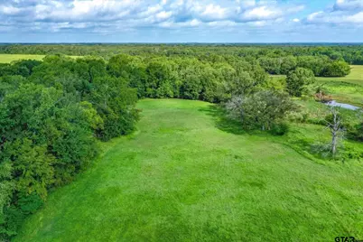 100+/- Acres Fm 773, Grand Saline, TX 75140 - Photo 10