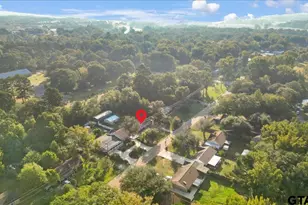 12379 Chapman Rd, Tyler, TX 75708 - Photo 40