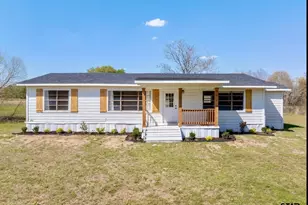 24722 Cr 460, Mineola, TX 75773 - Photo 2