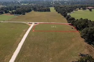Lot 1 Cr 3605, Bullard, TX 75757 - Photo 1